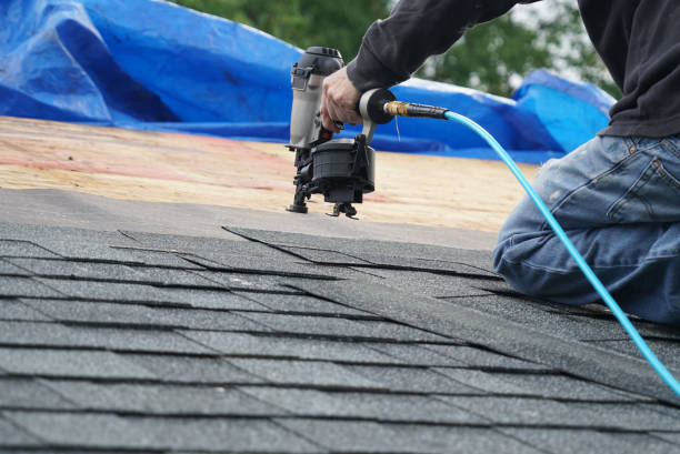 Best Chimney Flashing Repair  in Avenal, CA